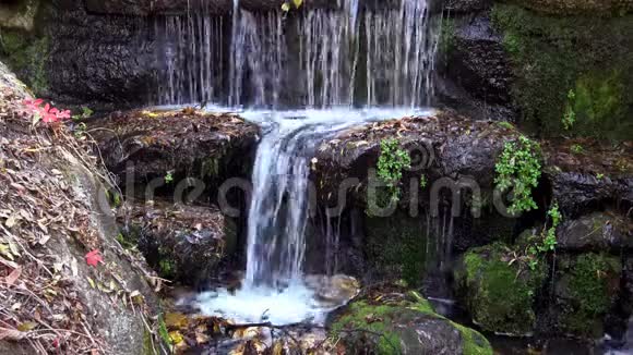 乌曼索菲夫斯基公园的瀑布视频的预览图