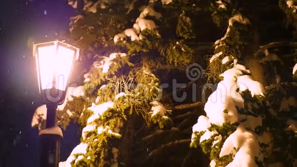 一盏夜灯照亮了公园里的雪视频的预览图