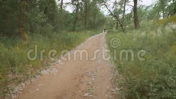 乡村自行车沿着树木和灌木丛中的土路骑行视频的预览图