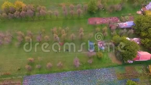 空中射击村庄与房屋和绿色山谷视频的预览图