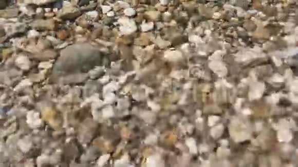 阳光明媚的海滩上的卵石视频的预览图
