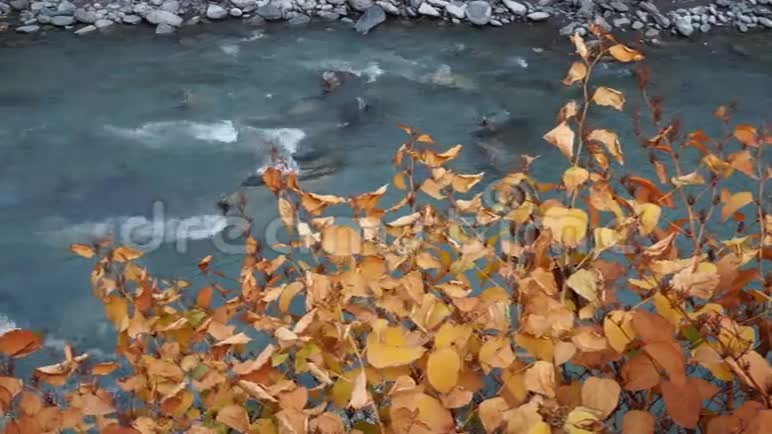 秋天的铁瑞克河视频的预览图