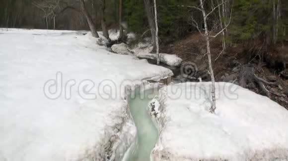 俄罗斯西伯利亚春天的溪流视频的预览图