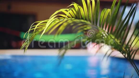 美丽的景观棕榈叶和变化的重点游泳池与吊床1920x1080高清假期概念视频的预览图