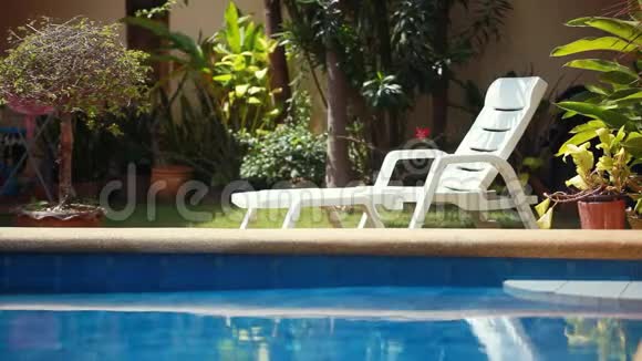 热带天堂游泳池附近的日光浴卧室1920x1080视频的预览图