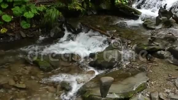 山溪流经石头视频的预览图