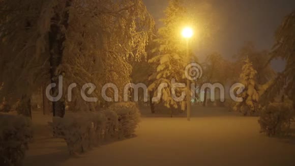 公园下雪晚上有公园灯视频的预览图