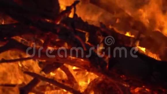 着火了篝火晚会在黑色背景上燃烧的火焰特写慢动作视频的预览图