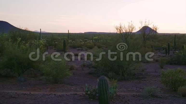 日落时沙漠徒步旅行者的慢动作镜头视频的预览图