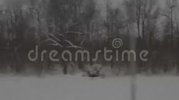 火车上雪树的快速视野视频的预览图