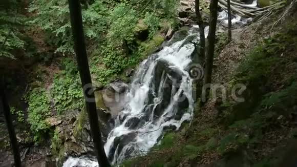 瀑布在山林中视频的预览图