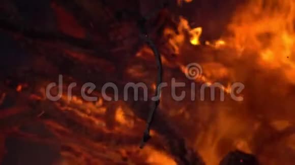 着火了篝火晚会在黑色背景上燃烧的火焰特写慢动作视频的预览图