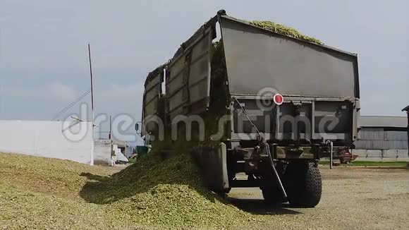 为农场青贮玉米收获的卡车视频的预览图