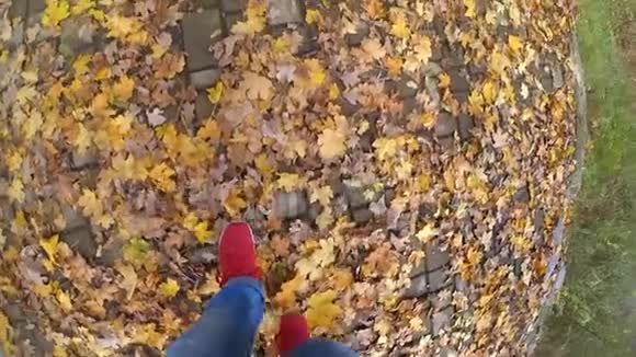 在阳光明媚的秋日走在地上的女孩掉了黄色和枯叶视频的预览图