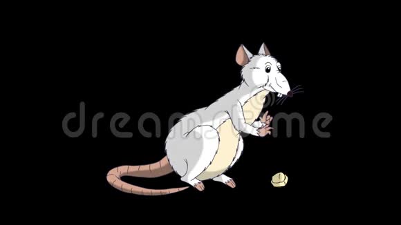 白鼠坐着吃奶酪动画阿尔法马特视频的预览图