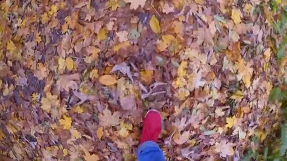 在阳光明媚的秋日走在地上的女孩掉了黄色和枯叶视频的预览图