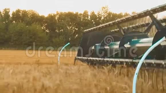 收割机移除麦田面包农业慢动作视频小麦生活方式谷物收割视频的预览图