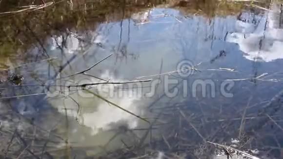 天空在清澈的湖水中的倒影和风的波浪视频的预览图