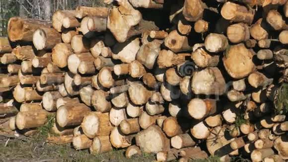 工业木材原木堆视频的预览图
