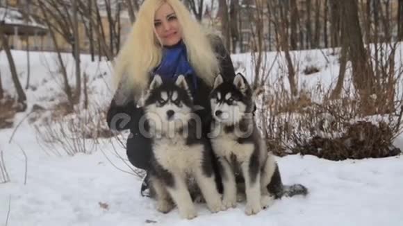 冬季景观与金发女孩玩西伯利亚哈士奇马拉穆特狗外面视频的预览图