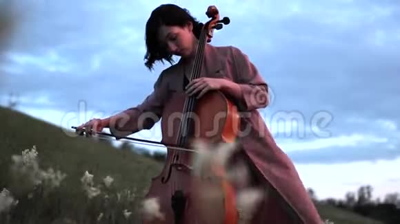 女大提琴手在黄昏时分在草地上演奏大提琴视频的预览图
