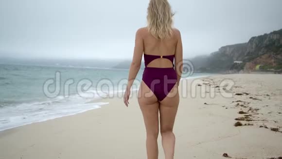 在天堂的沙滩上穿着泳衣的美女视频的预览图