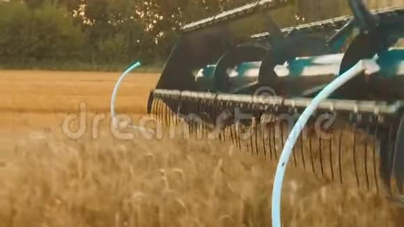 收割机移除麦田面包农业慢动作视频麦粒生活方式草收割视频的预览图