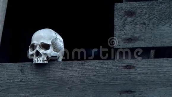 站在木板上的人类头骨视频的预览图