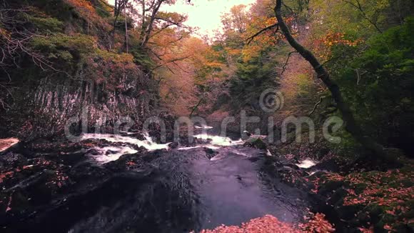 英国斯诺多尼亚国家公园秋季燕子瀑布视频的预览图