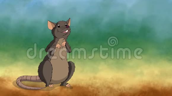 布朗老鼠坐动画中立背景视频的预览图