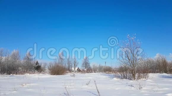严峻的俄罗斯冬季雪景寒冷的一天视频的预览图