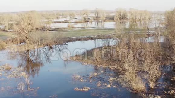 泉水溢出的景观视频的预览图