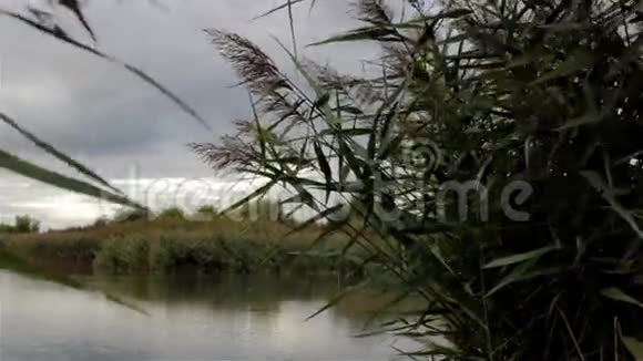 湖面上的雨云视频的预览图