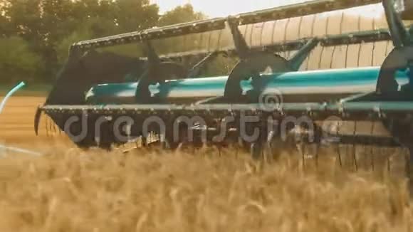 收割机移除麦田面包农业慢动作视频麦粒草收获自然视频的预览图