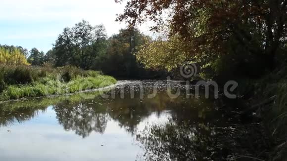 秋天的风景干叶落在河面上视频的预览图