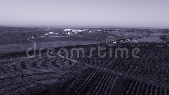 空中无人驾驶飞机观看巨大的农田葡萄园视频的预览图