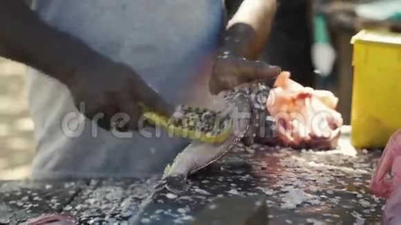 厨师在砧板上宰杀鱼费舍尔正在切鱼亚洲传统的生活方式街头视频的预览图
