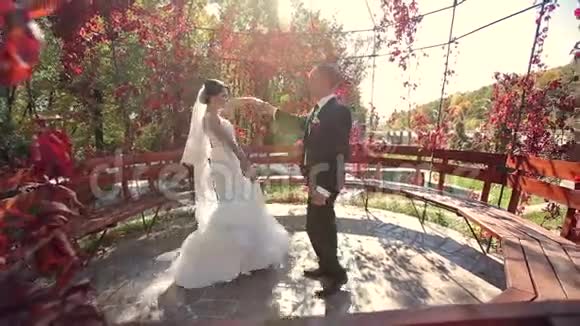 新婚夫妇在秋天露天跳舞视频的预览图