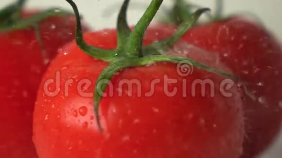 小水滴击中红色成熟番茄绿叶超级慢镜头视频的预览图