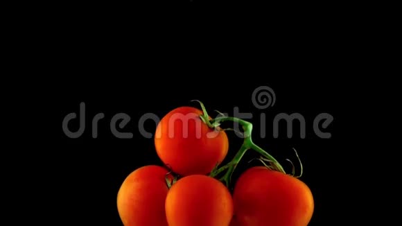 一串红色成熟的西红柿漂浮在水中黑色背景下视频的预览图