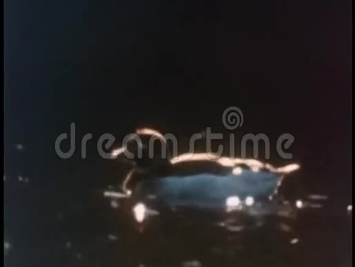 三只鸭子在湖里游泳视频的预览图
