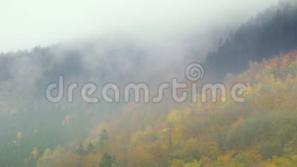德国秋天的埃菲尔山上漂浮着云视频的预览图