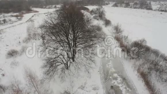 风在大自然中下雪视频的预览图