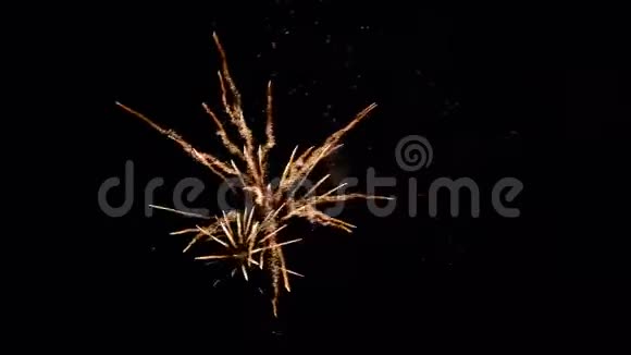 新年庆祝五彩缤纷的烟花夜空中闪烁着五彩斑斓的烟花烟花显示在视频的预览图