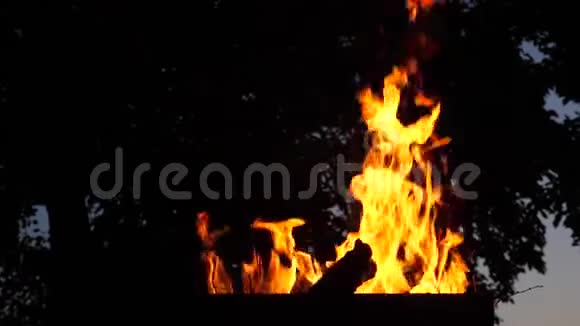 烧烤中的火会在晚上燃烧慢动作视频的预览图