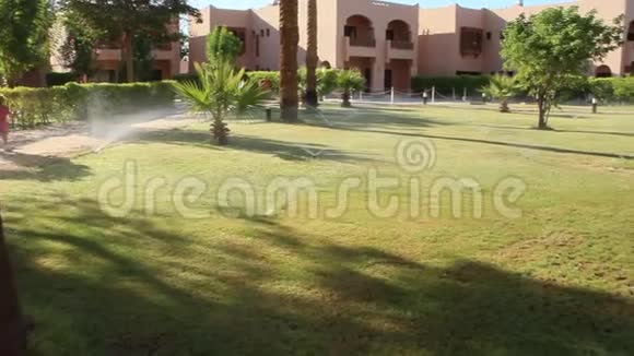 埃及度假村棕榈树之间长满草的草坪酒店有整洁的区域视频的预览图