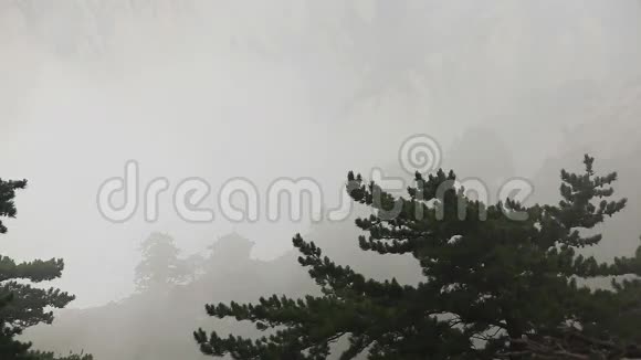 雾的气氛中国风视频的预览图