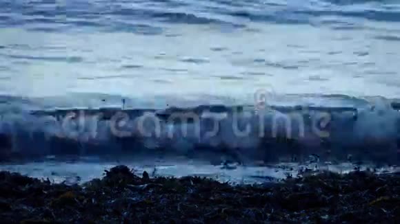 夜晚海草的波浪视频的预览图