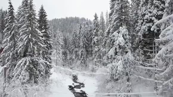 飞越雪山针叶林恶劣的霜冻天气视频的预览图