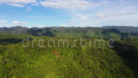 在阳光明媚的天气里美丽的山景和丛林视频的预览图